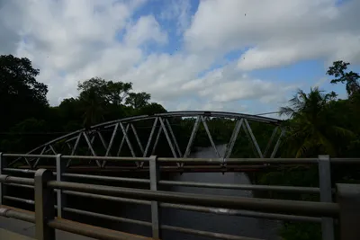 DSC_8048 (Large).JPG